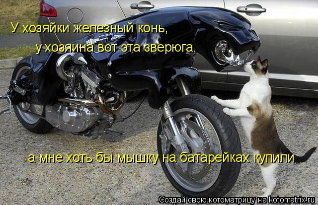 У хозяйки железный конь, у хозяина вот эта зверюга, а мне хоть бы мышку на батарейках купили... Котоматрица: У хозяйки железный конь, у хозяина вот эта зверюга, а мне хоть бы мышку на батарейках купили