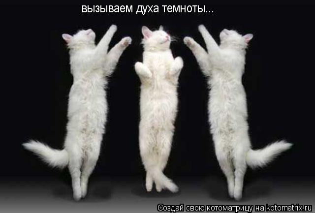вызываем духа темноты...... Котоматрица: вызываем духа темноты...