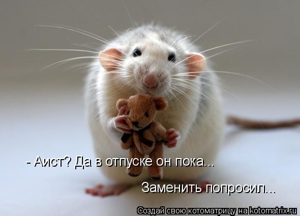- Аист? Да в отпуске он пока... Заменить попросил...... Котоматрица: - Аист? Да в отпуске он пока... Заменить попросил...