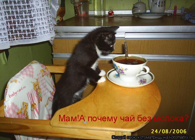 Мам!А почему чай без молока?... Котоматрица: Мам!А почему чай без молока?