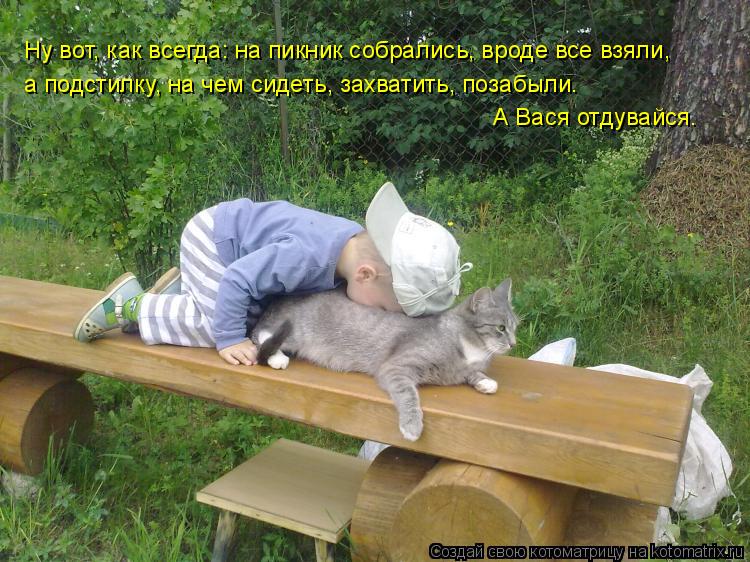 Ну вот, как всегда: на пикник собрались, вроде все взяли, а подстилку, на чем сидеть, захватить, поза... Котоматрица: Ну вот, как всегда: на пикник собрались, вроде все взяли, а подстилку, на чем сидеть, захватить, позабыли. А Вася отдувайся.