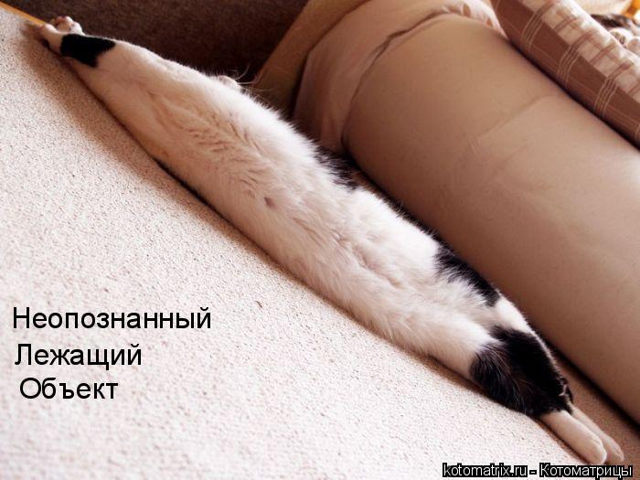 Неопознанный Лежащий Объект... Котоматрица: Неопознанный Лежащий Объект
