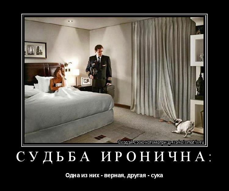 Судьба иронична: Одна из них - верная, другая - сука... Котоматрица: Судьба иронична: Одна из них - верная, другая - сука