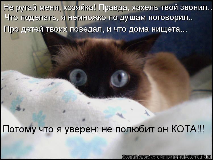 Не ругай меня, хозяйка! Правда, хахель твой звонил... Что поделать, я немножко по душам поговорил.. П... Котоматрица: Не ругай меня, хозяйка! Правда, хахель твой звонил... Что поделать, я немножко по душам поговорил.. Про детей твоих поведал, и что дома нищета...