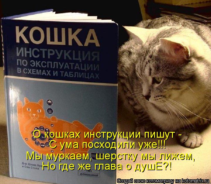 О кошках инструкции пишут - С ума посходили уже!!! Мы муркаем, шерстку мы лижем, Но где же глава о д... Котоматрица: О кошках инструкции пишут - С ума посходили уже!!! Мы муркаем, шерстку мы лижем, Но где же глава о душЕ?!