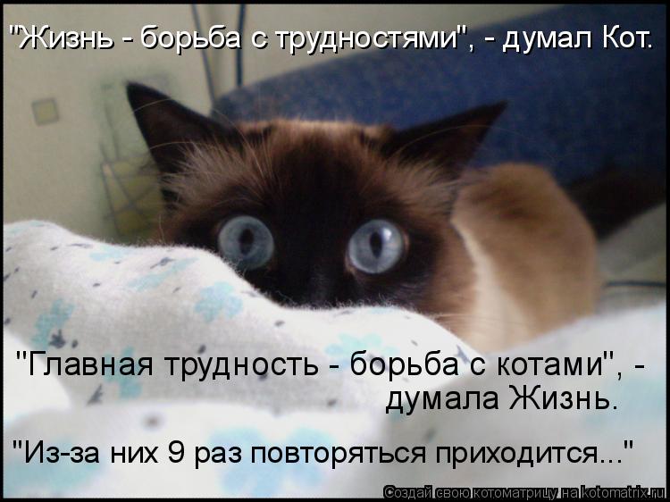 "Главная трудность - борьба с котами", - думала Жизнь. "Из-за них 9 раз повторяться приходится..." "... Котоматрица: "Главная трудность - борьба с котами", - думала Жизнь. "Из-за них 9 раз повторяться приходится..." "Жизнь - борьба с трудностями", - думал Кот.