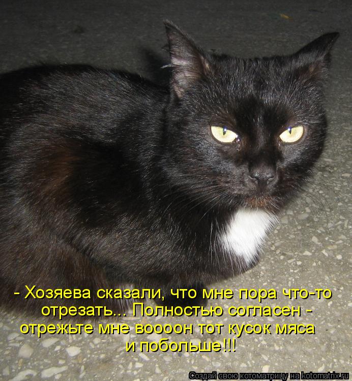 - Хозяева сказали, что мне пора что-то отрезать... Полностью согласен - отрежьте мне воооон тот кус... Котоматрица: - Хозяева сказали, что мне пора что-то отрезать... Полностью согласен - отрежьте мне воооон тот кусок мяса и побольше!!!