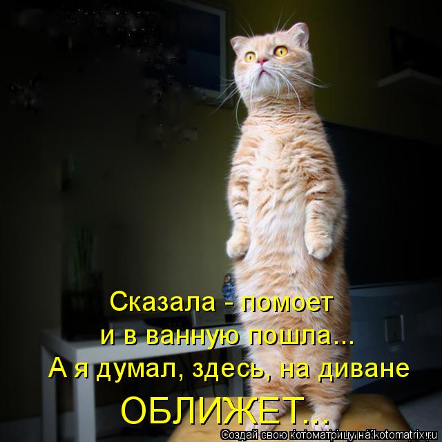 Сказала - помоет и в ванную пошла... А я думал, здесь, на диване ОБЛИЖЕТ...... Котоматрица: Сказала - помоет и в ванную пошла... А я думал, здесь, на диване ОБЛИЖЕТ...