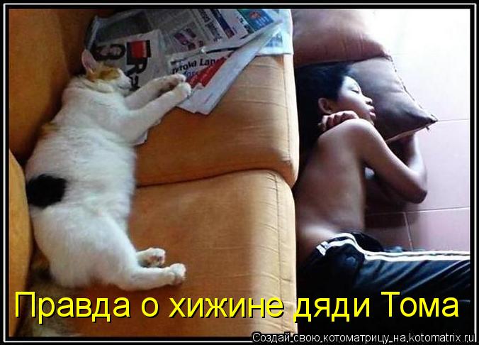 Правда о хижине дяди Тома... Котоматрица: Правда о хижине дяди Тома