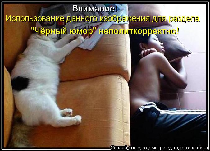 Внимание! Использование данного изображения для раздела "Чёрный юмор" неполиткорректно!... Котоматрица: Внимание! Использование данного изображения для раздела "Чёрный юмор" неполиткорректно!