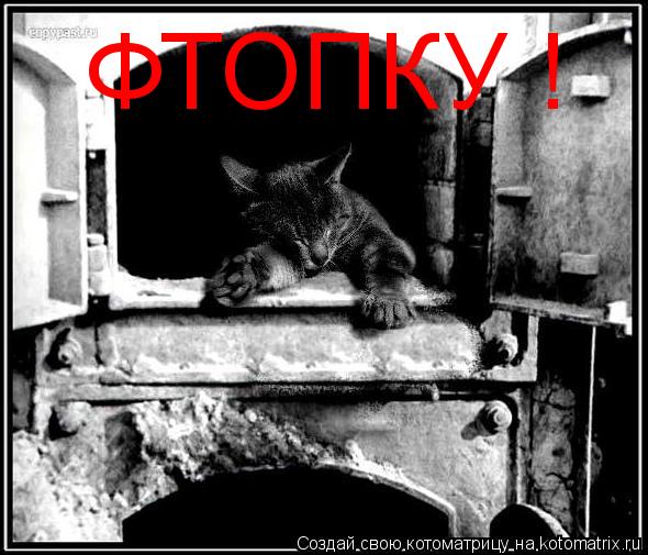 ФТОПКУ !... Котоматрица: ФТОПКУ !