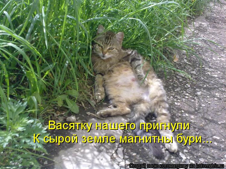 Васятку нашего пригнули К сырой земле магнитны бури...... Котоматрица: Васятку нашего пригнули К сырой земле магнитны бури...
