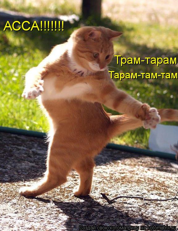 Трам-тарам Тарам-там-там АССА!!!!!!!... Котоматрица: Трам-тарам Тарам-там-там АССА!!!!!!!