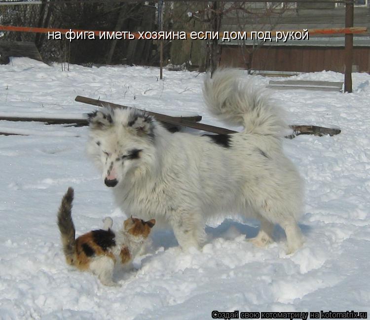на фига иметь хозяина если дом под рукой... Котоматрица: на фига иметь хозяина если дом под рукой