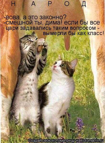 Н А Р О Д -вова, а это законно? -смешной ты, дима! если бы все цари задавал... Котоматрица: Н А Р О Д -вова, а это законно? -смешной ты, дима! если бы все цари задавались таким вопросом - вымерли бы как класс!