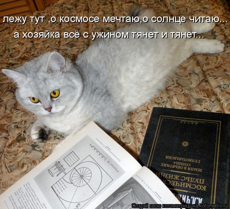 лежу тут ,о космосе мечтаю,о солнце читаю... а хозяйка всё с ужином тянет и тянет...... Котоматрица: лежу тут ,о космосе мечтаю,о солнце читаю... а хозяйка всё с ужином тянет и тянет...
