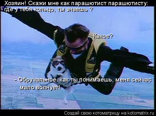 Хозяин! Скажи мне как парашютист парашютисту: Какое? где у тебя кольцо, ты знаешь ? - Обручальное, к... Котоматрица: Хозяин! Скажи мне как парашютист парашютисту: Какое? где у тебя кольцо, ты знаешь ? - Обручальное, как ты понимаешь, меня сейчас мало волнует!
