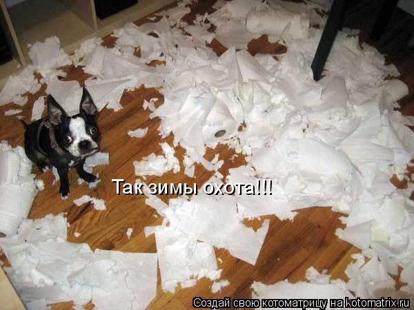 Так зимы охота!!!... Котоматрица: Так зимы охота!!!