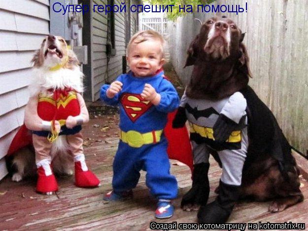 Супер герой спешит на помощь!... Котоматрица: Супер герой спешит на помощь!