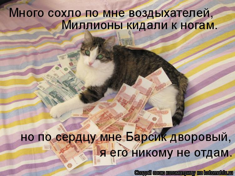 Много сохло по мне воздыхателей, Миллионы кидали к ногам. но по сердцу мне Барсик дворовый, я его н... Котоматрица: Много сохло по мне воздыхателей, Миллионы кидали к ногам. но по сердцу мне Барсик дворовый, я его никому не отдам.