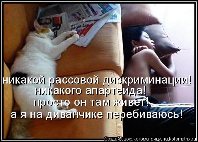 никакого апартеида! никакой рассовой дискриминации! просто он там живет! а я на диванчике перебиваюсь... Котоматрица: никакого апартеида! никакой рассовой дискриминации! просто он там живет! а я на диванчике перебиваюсь!