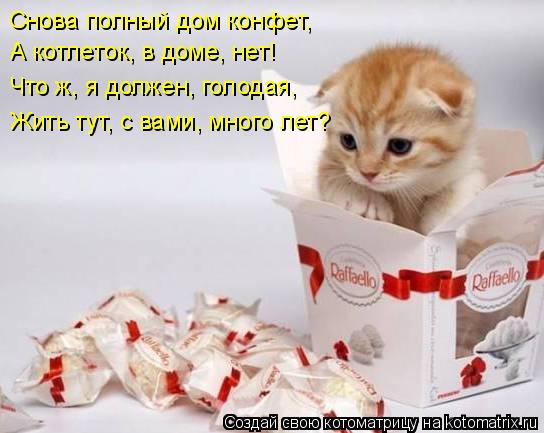Снова полный дом конфет, А котлеток, в доме, нет! Что ж, я должен, голодая, Жить тут, с вами, много... Котоматрица: Снова полный дом конфет, А котлеток, в доме, нет! Что ж, я должен, голодая, Жить тут, с вами, много лет?