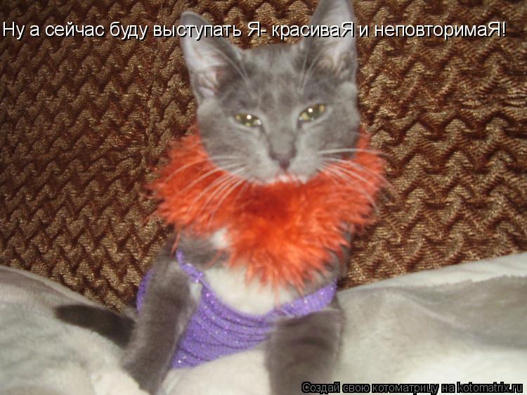 Ну а сейчас буду выступать Я- красиваЯ и неповторимаЯ!... Котоматрица: Ну а сейчас буду выступать Я- красиваЯ и неповторимаЯ!