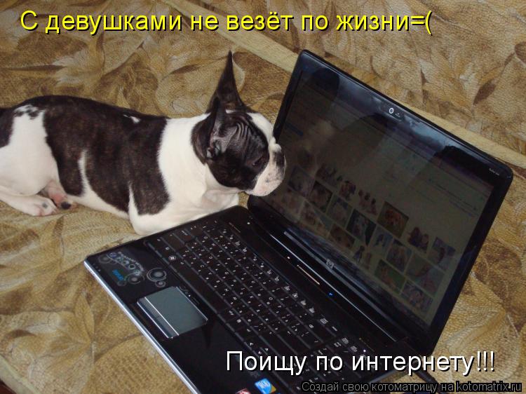 С девушками не везёт по жизни=( Поищу по интернету!!!... Котоматрица: С девушками не везёт по жизни=( Поищу по интернету!!!