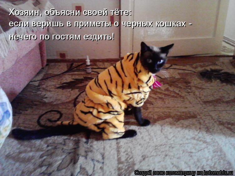 Хозяин, объясни своей тёте: если веришь в приметы о черных кошках - нечего по гостям ездить!... Котоматрица: Хозяин, объясни своей тёте: если веришь в приметы о черных кошках - нечего по гостям ездить!