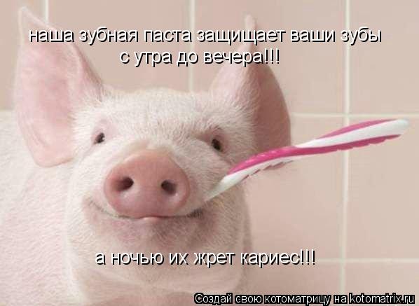 наша зубная паста защищает ваши зубы с утра до вечера!!! а ночью их жрет кариес!!!... Котоматрица: наша зубная паста защищает ваши зубы с утра до вечера!!! а ночью их жрет кариес!!!