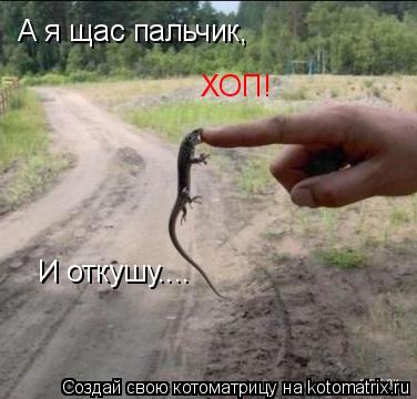 А я щас пальчик, ХОП! И откушу....... Котоматрица: А я щас пальчик, ХОП! И откушу....