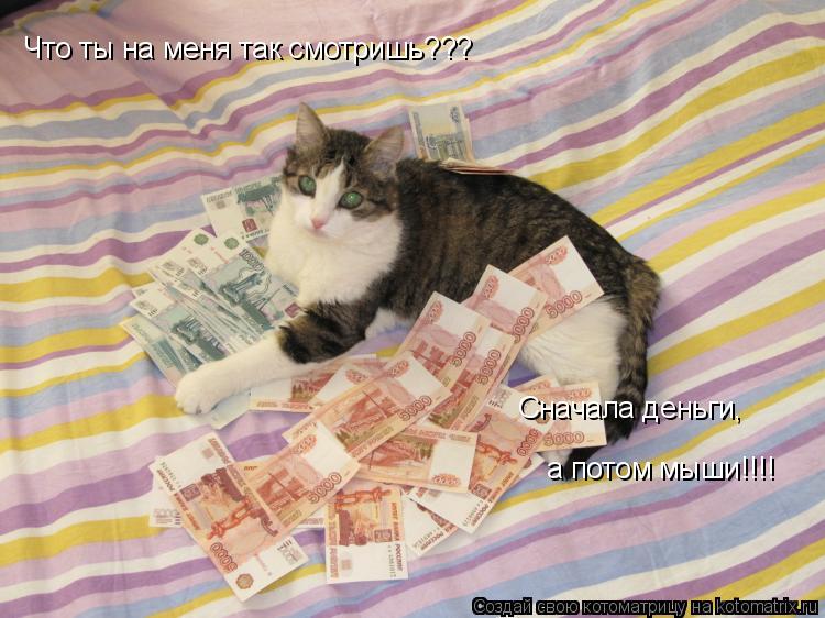 Что ты на меня так смотришь??? Сначала деньги, а потом мыши!!!!... Котоматрица: Что ты на меня так смотришь??? Сначала деньги, а потом мыши!!!!