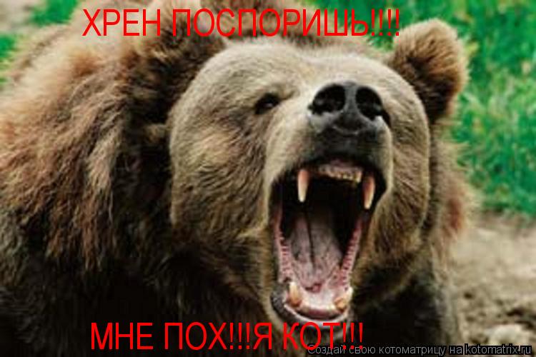 МНЕ ПОХ!!!Я КОТ!!! ХРЕН ПОСПОРИШЬ!!!!... Котоматрица: МНЕ ПОХ!!!Я КОТ!!! ХРЕН ПОСПОРИШЬ!!!!