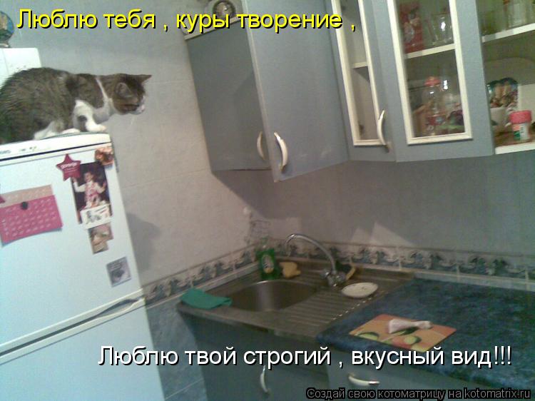 Люблю тебя , куры творение , Люблю твой строгий , вкусный вид!!!... Котоматрица: Люблю тебя , куры творение , Люблю твой строгий , вкусный вид!!!