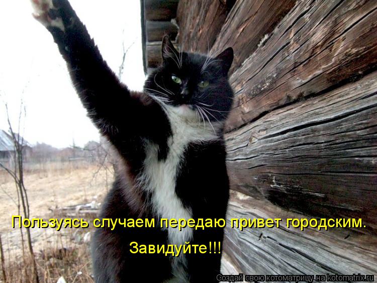 Пользуясь случаем передаю привет городским. Завидуйте!!!... Котоматрица: Пользуясь случаем передаю привет городским. Завидуйте!!!
