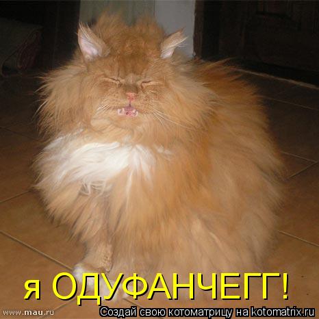 я ОДУФАНЧЕГГ!... Котоматрица: я ОДУФАНЧЕГГ!