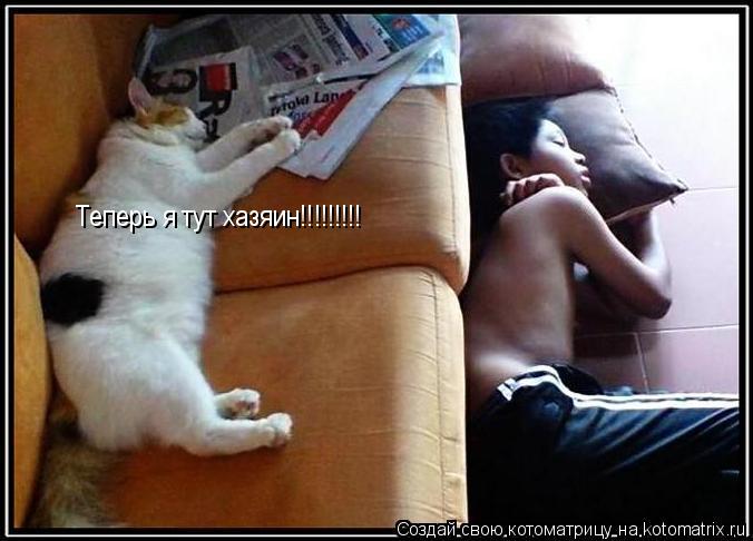 Теперь я тут хазяин!!!!!!!!!... Котоматрица: Теперь я тут хазяин!!!!!!!!!
