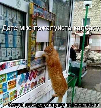 Дате мне пожалуйста калбасу... Котоматрица: Дате мне пожалуйста калбасу