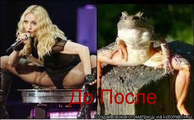 До После... Котоматрица: До После