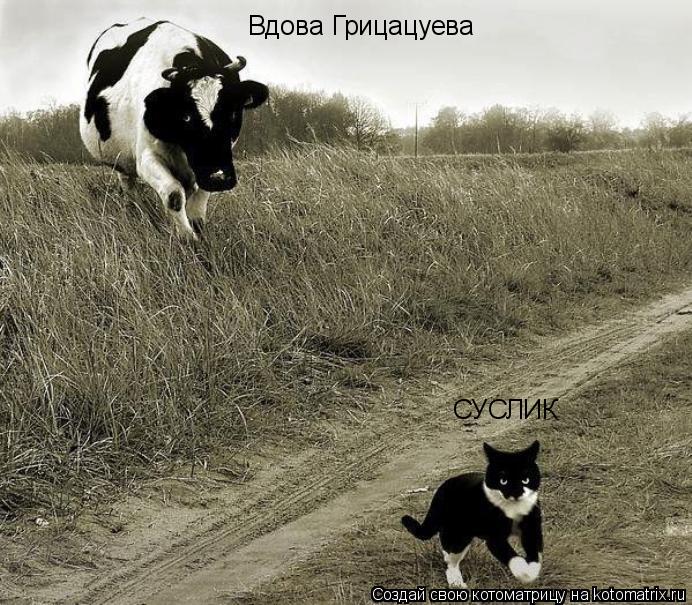 Вдова Грицацуева СУСЛИК... Котоматрица: Вдова Грицацуева СУСЛИК