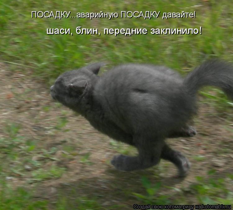 ПОСАДКУ...аварийную ПОСАДКУ давайте! шаси, блин, передние заклинило!... Котоматрица: ПОСАДКУ...аварийную ПОСАДКУ давайте! шаси, блин, передние заклинило!