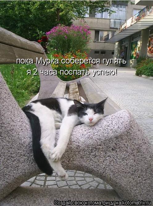 пока Мурка соберется гулять я 2 часа поспать успею!... Котоматрица: пока Мурка соберется гулять я 2 часа поспать успею!