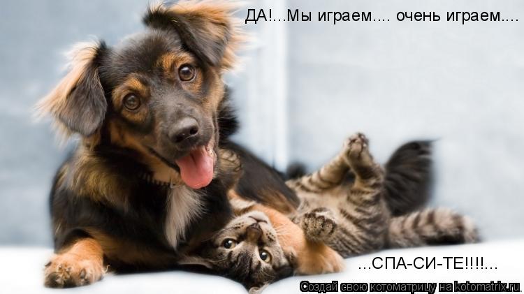 ДА!...Мы играем.... очень играем.... ...СПА-СИ-ТЕ!!!!...... Котоматрица: ДА!...Мы играем.... очень играем.... ...СПА-СИ-ТЕ!!!!...