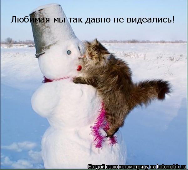 Любимая мы так давно не видеались!... Котоматрица: Любимая мы так давно не видеались!