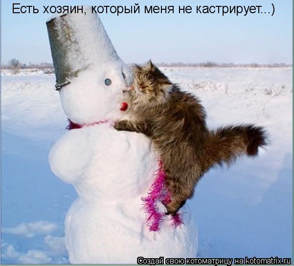 Есть хозяин, который меня не кастрирует...)... Котоматрица: Есть хозяин, который меня не кастрирует...)