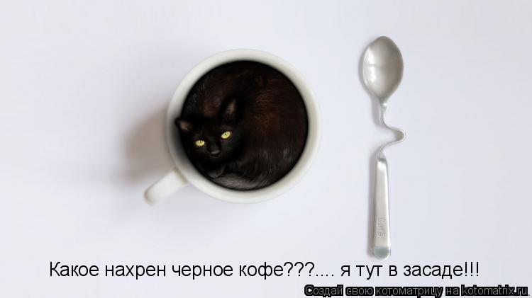 Какое нахрен черное кофе???.... я тут в засаде!!!... Котоматрица: Какое нахрен черное кофе???.... я тут в засаде!!!