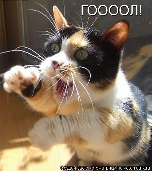 ГООООЛ!... Котоматрица: ГООООЛ!