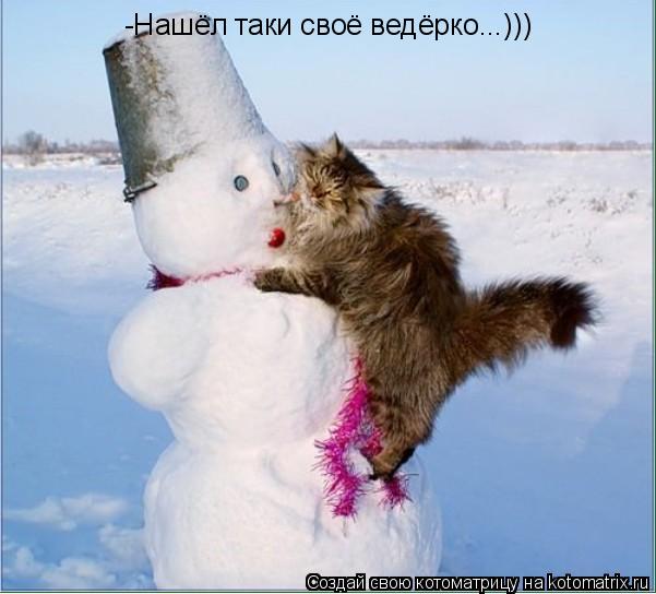 -Нашёл таки своё ведёрко...)))... Котоматрица: -Нашёл таки своё ведёрко...)))