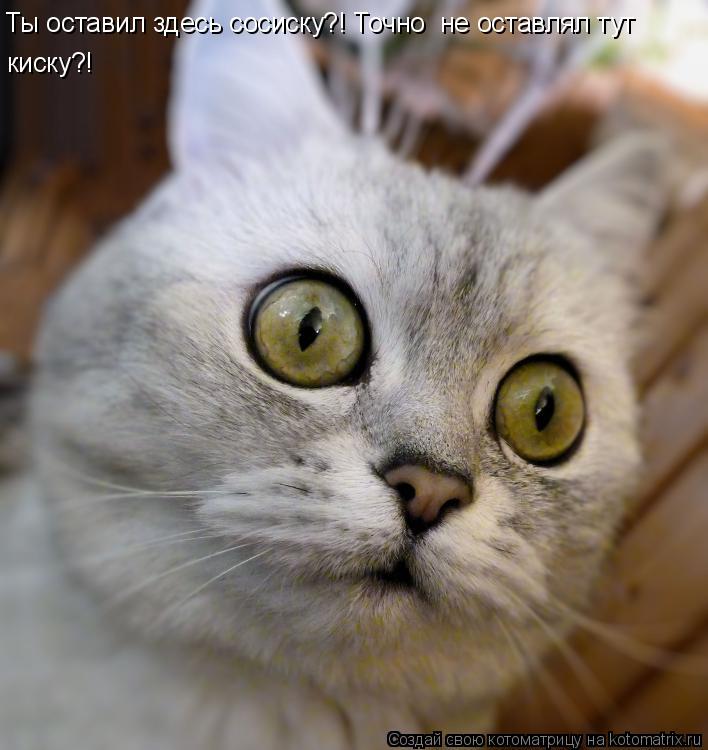 Ты оставил здесь сосиску?! Точно не оставлял тут киску?!... Котоматрица: Ты оставил здесь сосиску?! Точно не оставлял тут киску?!