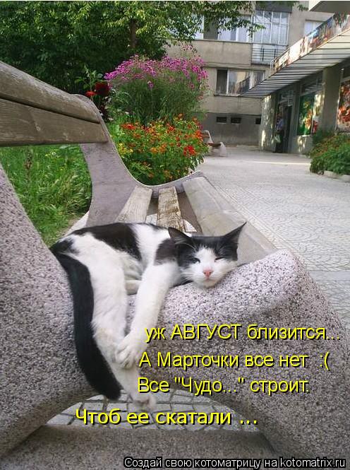 уж АВГУСТ близится... А Марточки все нет :( Все "Чудо..." строит. Чтоб ее скатали ...... Котоматрица: уж АВГУСТ близится... А Марточки все нет :( Все "Чудо..." строит. Чтоб ее скатали ...